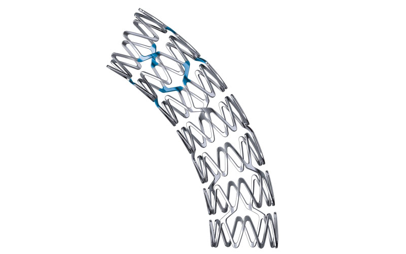 OEM ODM Stents