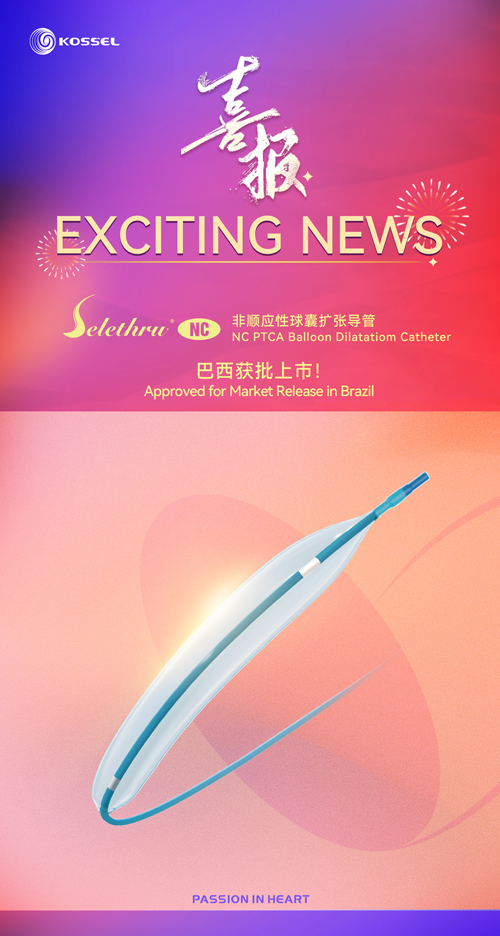 Selethru®NC-PTCA-Balloon-Dilatation-Catheter