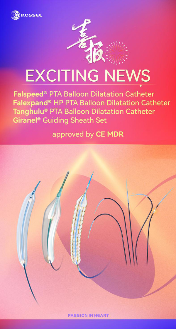 Falspeed®-PTA-Balloon-Dilatation-Catheter