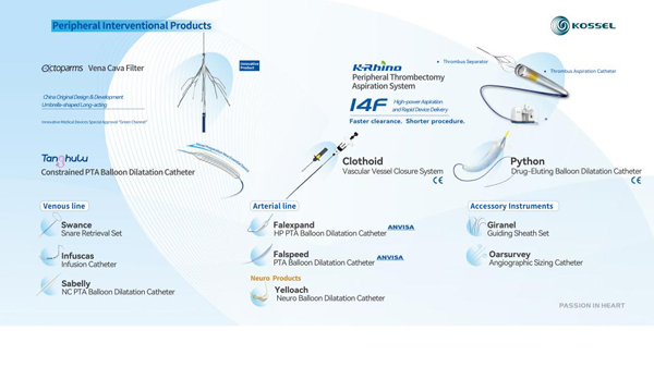 PTCA BALLOON DILATATION CATHETERS