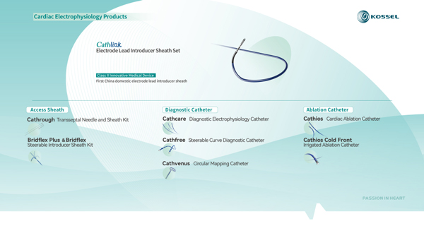 pta balloon catheter