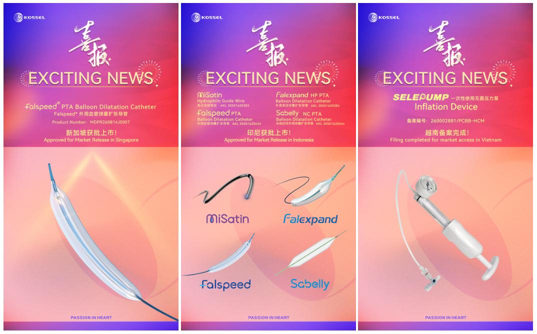 Falspeed® PTA Balloon Dilatation Catheter