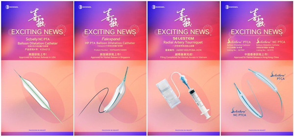 PTCA Balloon Dilatation Catheter