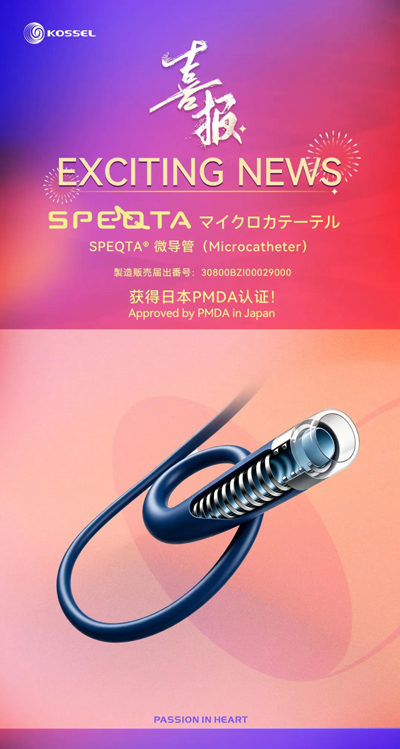 SPEQTA® Microcatheter